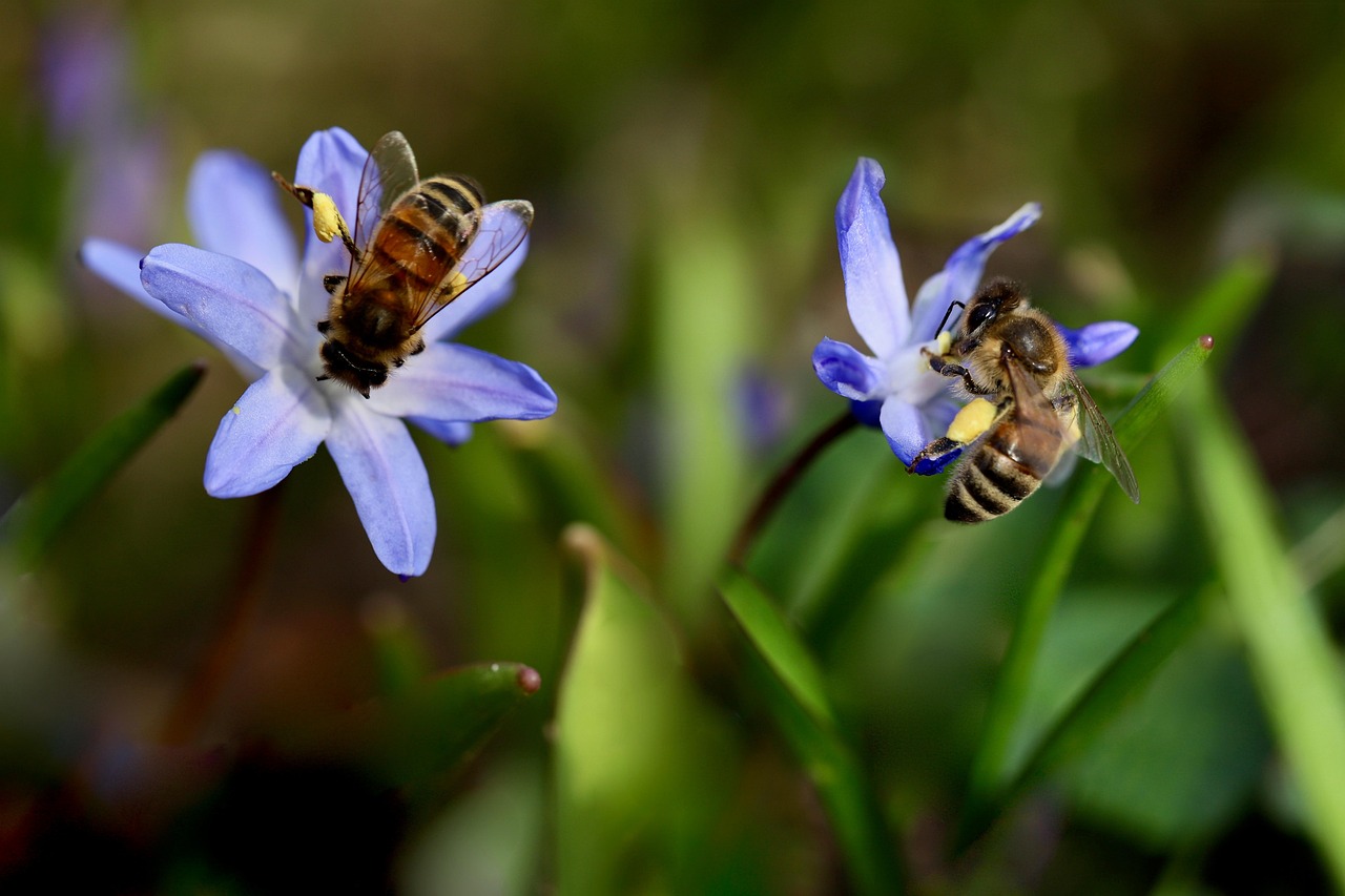 花粉症対策にマスク内側に塗るワセリンの効果は？