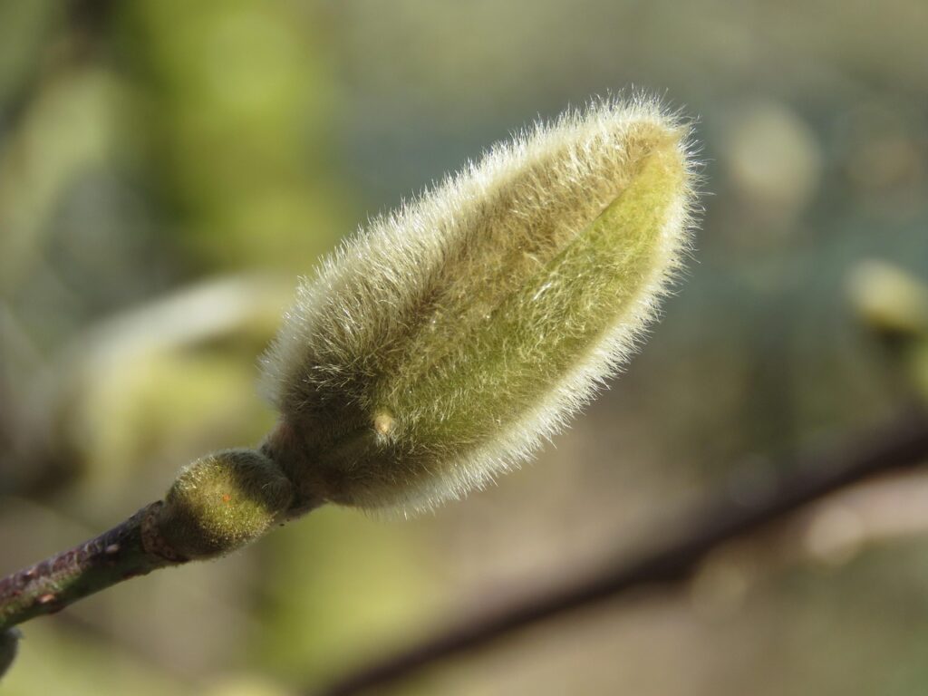 花粉症対策に最適な寝具カバーは抗アレルギーでどれが良い？