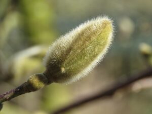 花粉症対策に最適な寝具カバーは抗アレルギーでどれが良い？