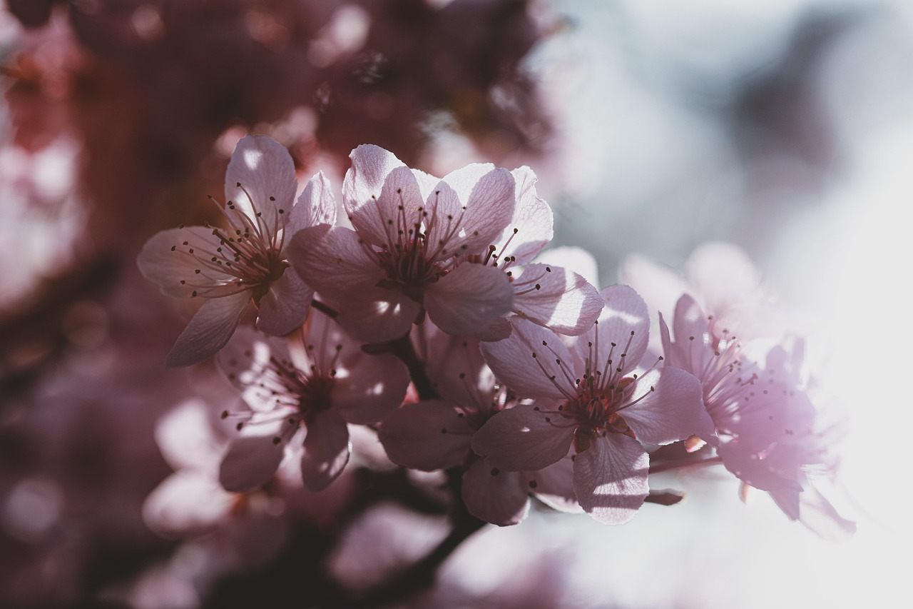 花粉症の目薬が就寝前にしみるときの対処法は？