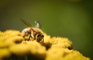 花粉症対策に効果的なアイマスクと蒸気で目のかゆみを和らげる方法は？