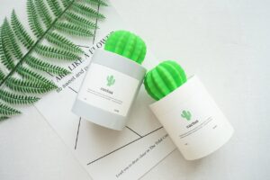 花粉症対策に効果的な加湿器の併用と使い方は？