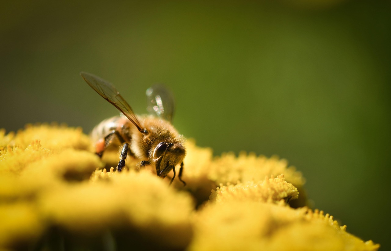 花粉症の鼻づまりで就寝前に病院を受診する目安は？