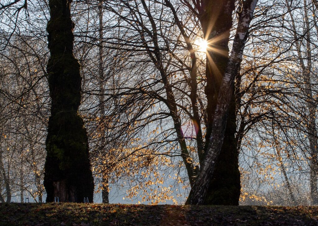 30代が花粉症で不眠にならないための朝起きるコツは？