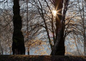 30代が花粉症で不眠にならないための朝起きるコツは？