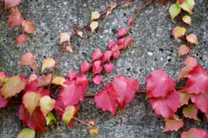 花粉症による入眠時の頭重感をセルフチェックする方法は？