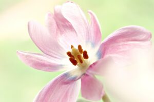 花粉症の入眠時に鼻づまりを和らげる薬以外の対策は？