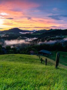 花粉症の夕方の服用タイミングで眠れない時の対策は？