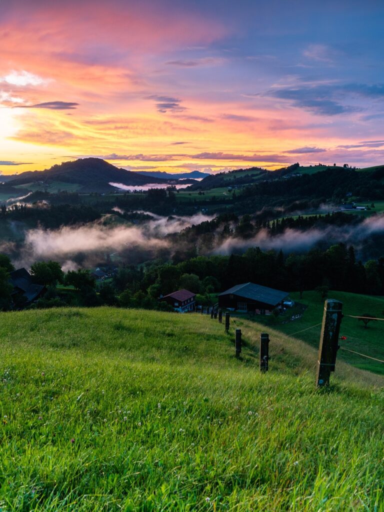 花粉症の夕方の服用タイミングで眠れない時の対策は？