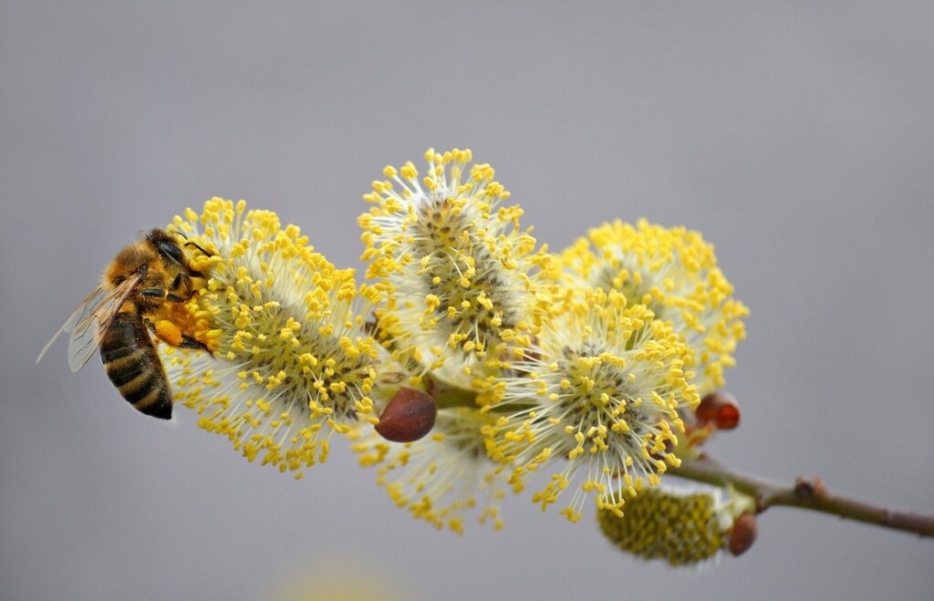 花粉症の就寝前に鼻うがいをするとしみる場合の対策は？