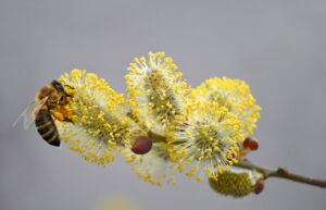 花粉症の就寝前に鼻うがいをするとしみる場合の対策は？