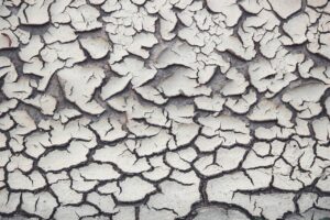 花粉症による中途覚醒と乾いた咳を改善する方法は？