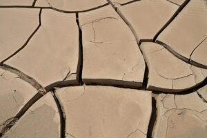 花粉症で早朝覚醒し乾いた咳が出る時、薬以外の対策は？