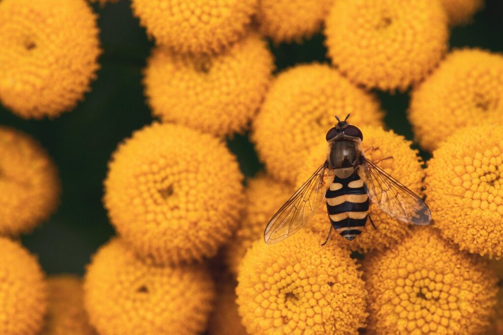 花粉症による早朝覚醒と連続くしゃみを改善する方法は？