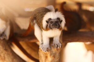 花粉症による早朝覚醒や喉の痛みの原因と対策は？