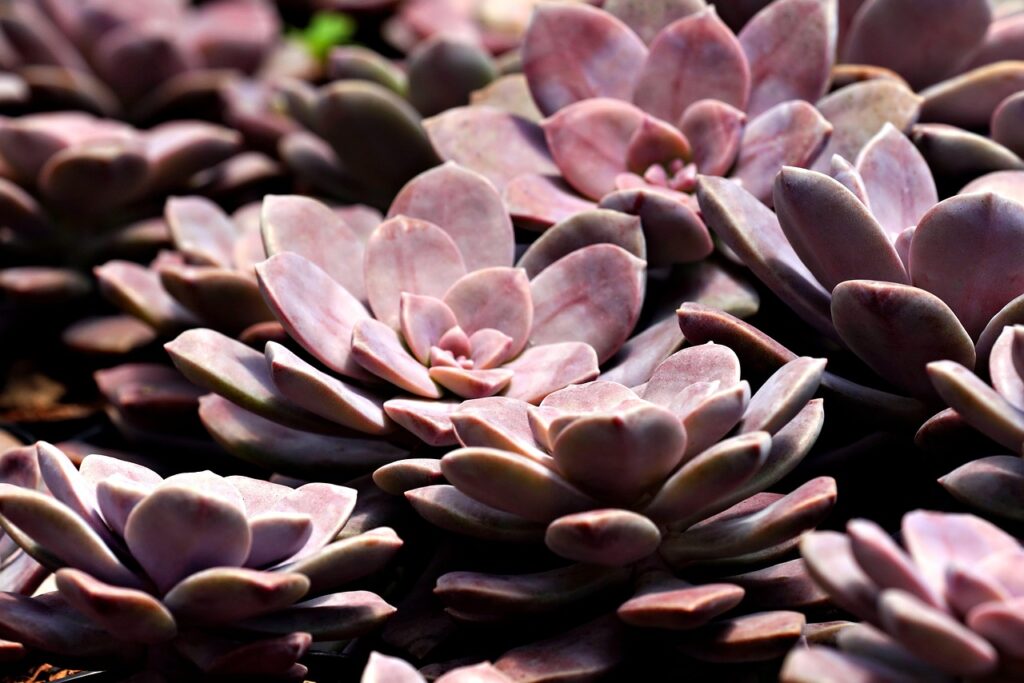 花粉症による早朝覚醒や鼻水に薬以外の対策は何ですか？