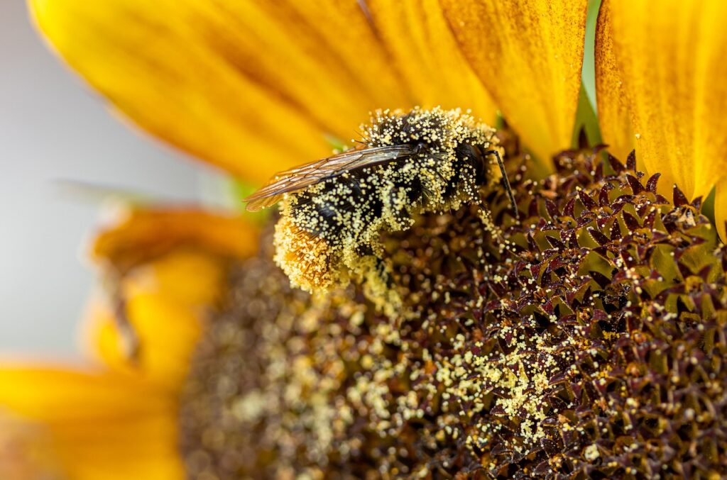 花粉症による早朝覚醒や鼻水を改善する方法は？
