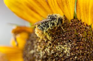 花粉症による早朝覚醒や鼻水を改善する方法は？