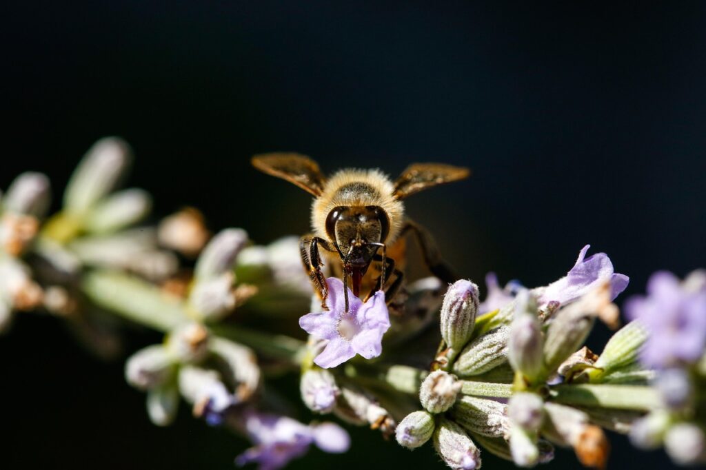 花粉症の早朝覚醒や副鼻腔の圧を和らげる薬以外の対策は？