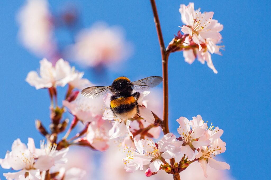 花粉症の早朝覚醒や目のかゆみに薬以外の対策は何が効果的？