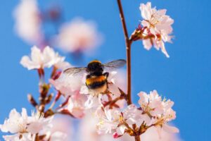 花粉症の早朝覚醒や目のかゆみに薬以外の対策は何が効果的？
