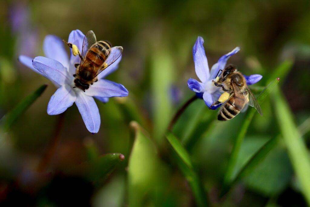 花粉症の洗濯物外干しは夜の眠りやすさにどう影響する？花粉除去のポイントも解説！