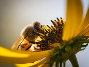 花粉症が生理前に悪化する理由とは？