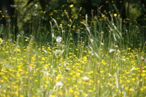 花粉症による寝不足が翌日の食欲に与える影響とその対策は？