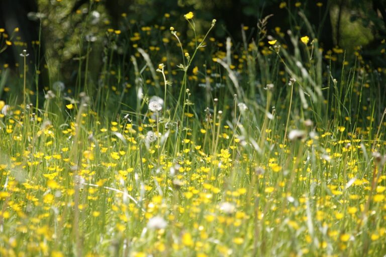 花粉症による寝不足が翌日の食欲に与える影響とその対策は？