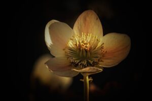 花粉症の人が仕事用コートを選ぶ際の素材はどう決めるべき？