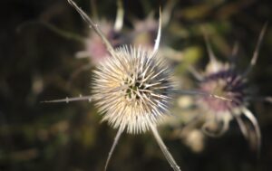 花粉症の時期、会社で鼻がかゆい時に触らないための工夫は？