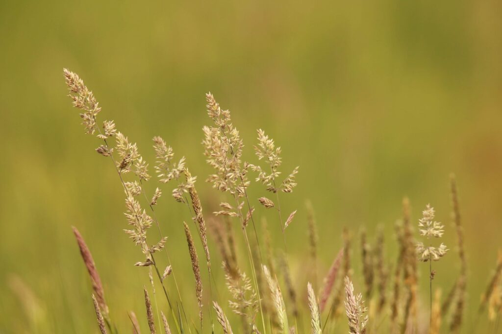 花粉症対策に効果的なサーキュレーターの風を直撃させても眠れない時の使い方は？